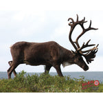 Duramesh Archery Target Caribou 25 In. X 32 In.