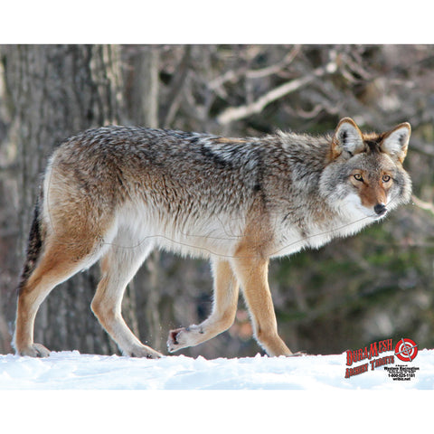 Duramesh Archery Target Coyote 25 In. X 32 In.