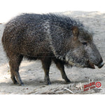 Duramesh Archery Target Javelina 25 In. X 32 In.