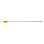 Tenpoint Lighted Alpha Brite Arrows Aluminum 20 In. 3 Pk.