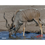 Duramesh Archery Target Kudu 25 In. X 32 In.