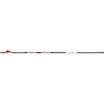 Bloodsport Judgement Arrows 300 2 In. Vanes 6 Pk.