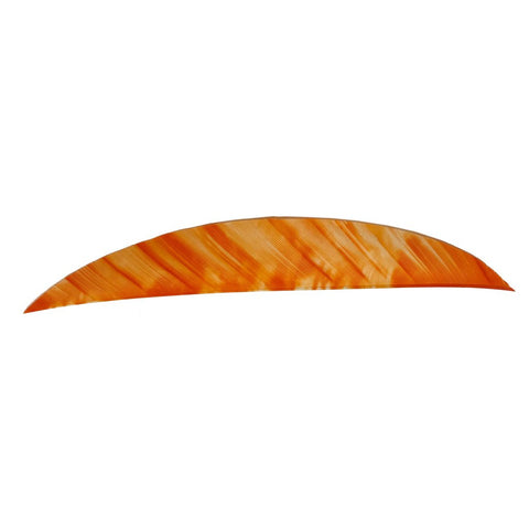 Gateway Magnum Feathers Tre White-orange 5.5 In. Rw 50 Pk.