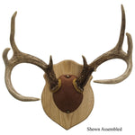 Walnut Hollow Antler Mounting Kit Solid Oak