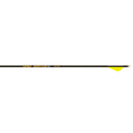 Gold Tip Hunter Pro Arrows 300 Raptor Vanes 6 Pk.