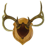 Walnut Hollow Deluxe Antler Display Kit Oak