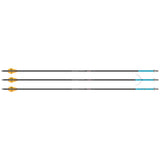 Slash Express 300 Arrow Set Blue 27 In. 3 Pk.