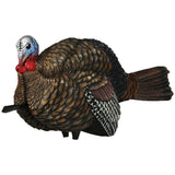 Avian X 1-2 Strut Jake Turkey Decoy