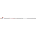 Bloodsport Punisher Arrows 350 2 In. Vanes 6 Pk.