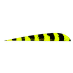 Trueflight Parabolic Feathers Barred Yellow 5 In. Rw 100 Pk.