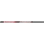 Bloodsport Judgement Shafts 300 1 Doz.