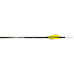 Carbon Express Nano Sst Shafts 400 1 Doz.